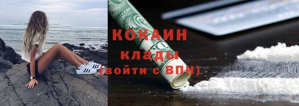 PSILOCYBIN Аркадак