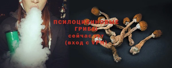 винт Арсеньев